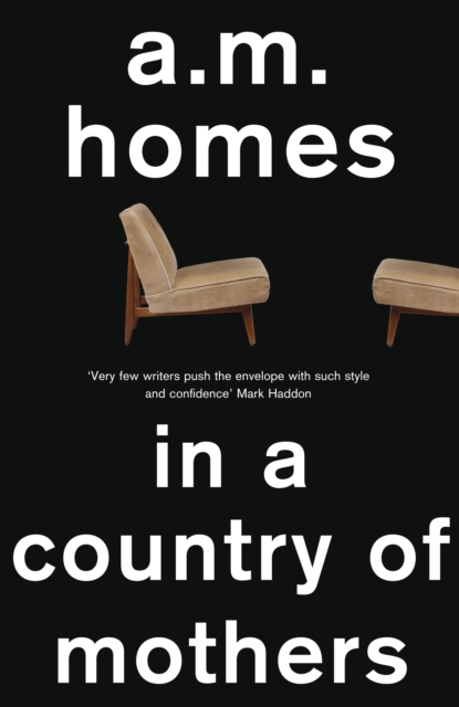 Book Cover for In a Country Of Mothers by A.M. Homes