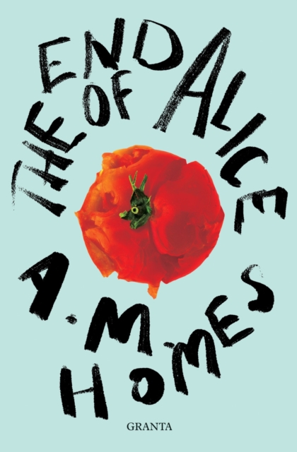 Book Cover for End Of Alice by A.M. Homes