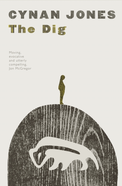 Book Cover for Dig by Cynan Jones