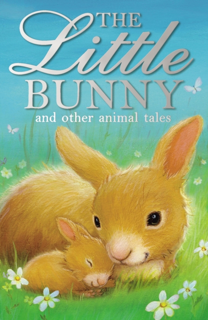 Book Cover for Little Bunny by Authors, Various