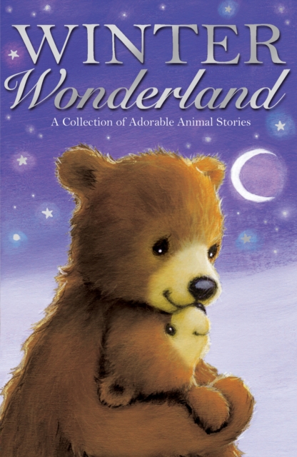 Book Cover for Winter Wonderland by Various Authors