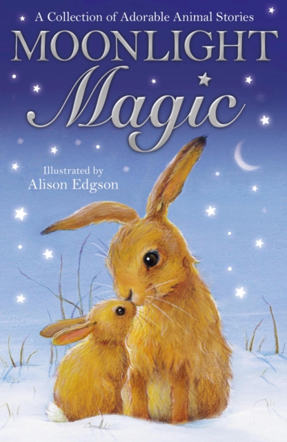 Book Cover for Moonlight Magic by Authors, Various