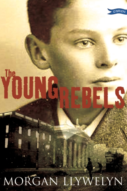 Book Cover for Young Rebels by Morgan Llywelyn