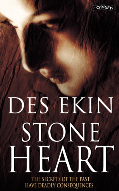 Book Cover for Stone Heart by Des Ekin