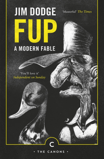 Book Cover for Fup by Jim Dodge