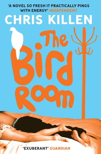 Book Cover for Bird Room by Killen, Chris