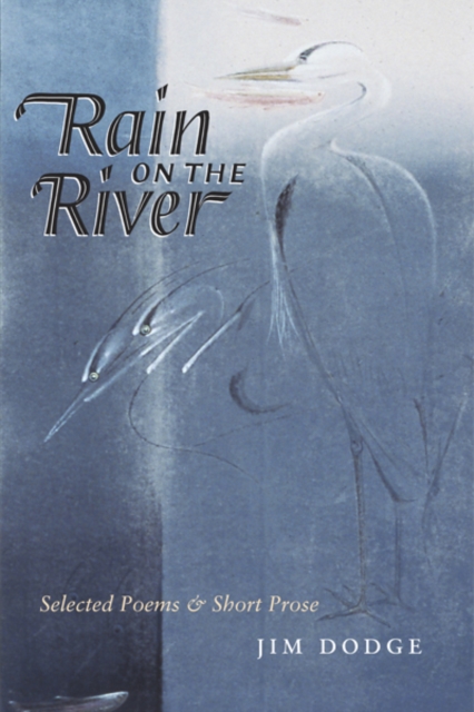 Book Cover for Rain On The River by Jim Dodge