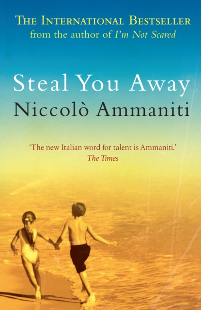 Book Cover for Steal You Away by Niccolo Ammaniti