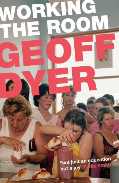 Book Cover for Working the Room by Geoff Dyer