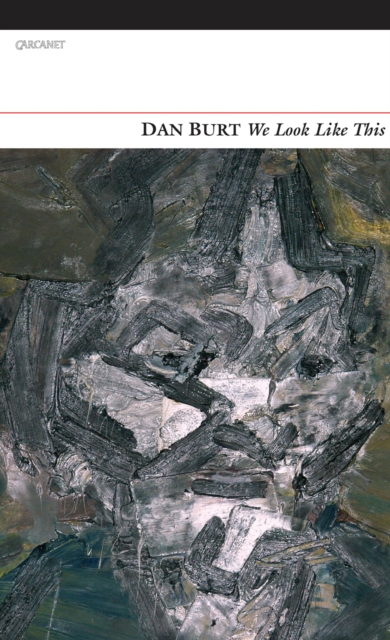 Book Cover for We Look Like This by Dan Burt