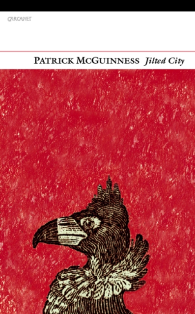 Book Cover for Jilted City by McGuinness, Patrick