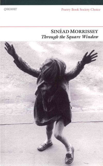Book Cover for Through the Square Window by Sinead Morrissey