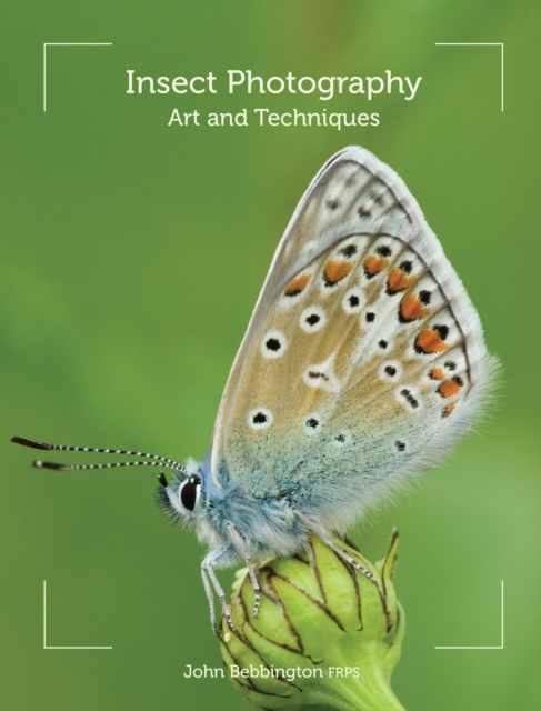 Book Cover for Insect Photography by John Bebbington