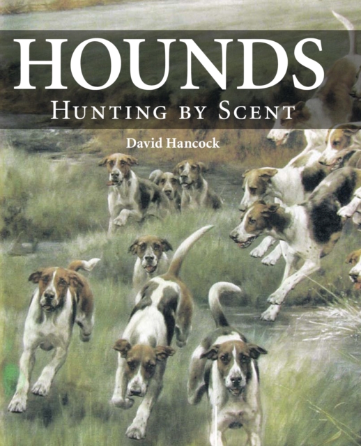 Book Cover for Hounds by Hancock, David