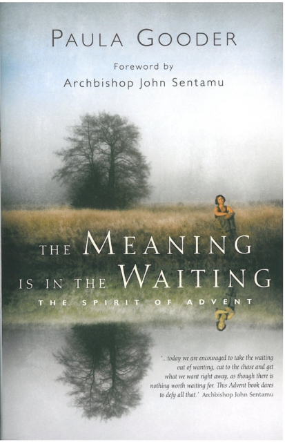 Book Cover for Meaning is in the Waiting by Paula Gooder