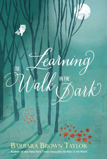 Book Cover for Learning to Walk in the Dark by Barbara Brown Taylor