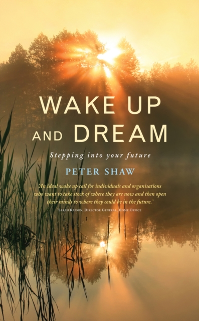 Book Cover for Wake Up and Dream by Peter Shaw