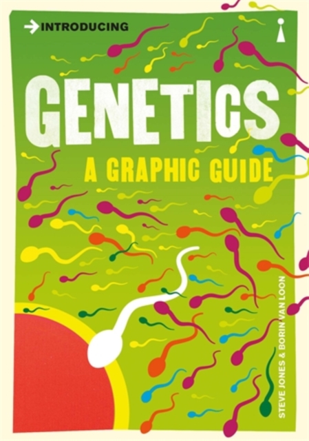 Book Cover for Introducing Genetics by Steve Jones