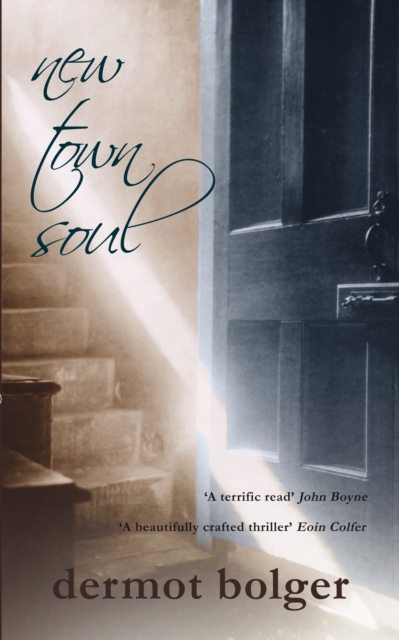 Book Cover for New Town Soul by Bolger, Dermot