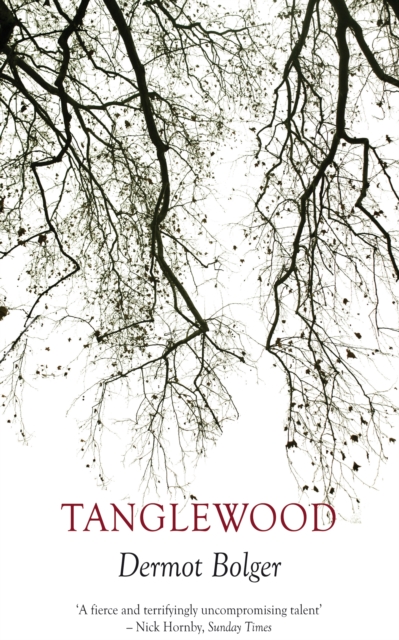 Book Cover for Tanglewood by Bolger, Dermot