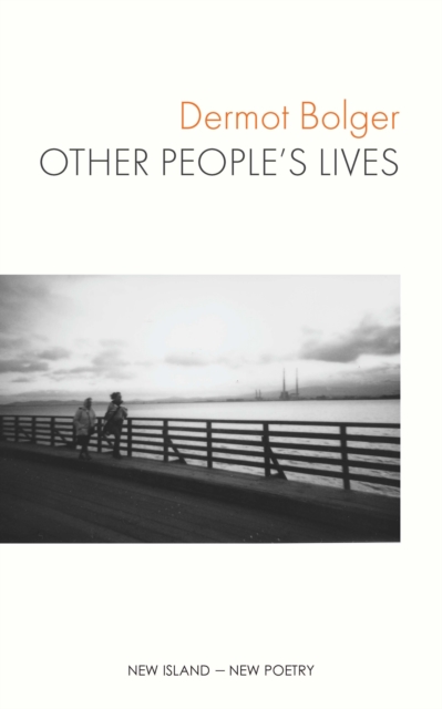 Book Cover for Other People's Lives by Dermot Bolger