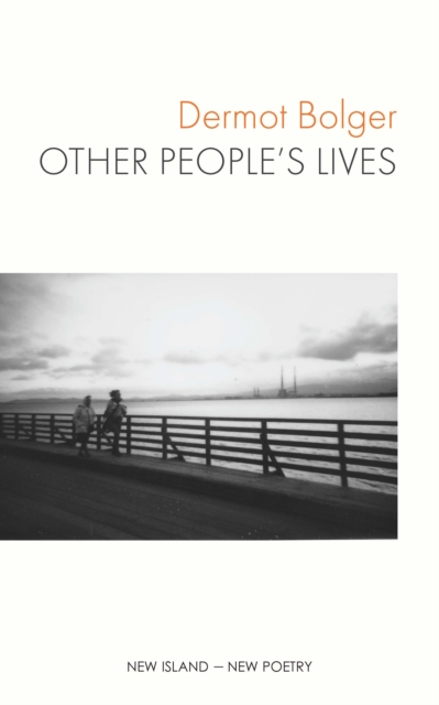 Book Cover for Other People's Lives by Bolger, Dermot