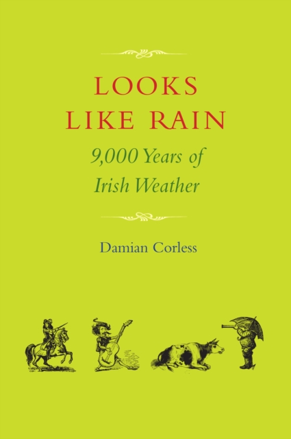 Book Cover for Looks Like Rain by Damian Corless