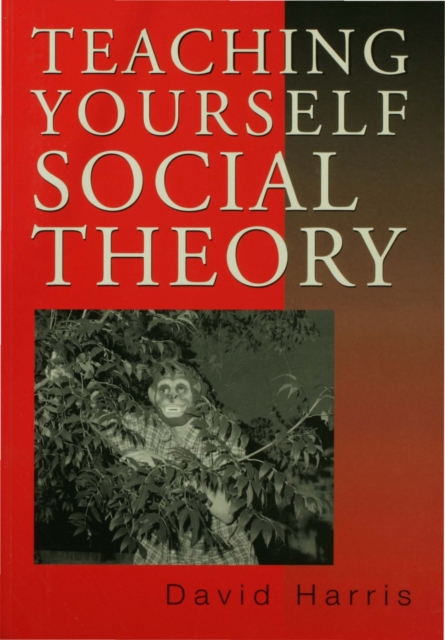 Book Cover for Teaching Yourself Social Theory by David Harris