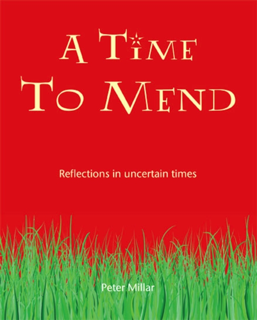 Book Cover for Time to Mend by Peter Millar