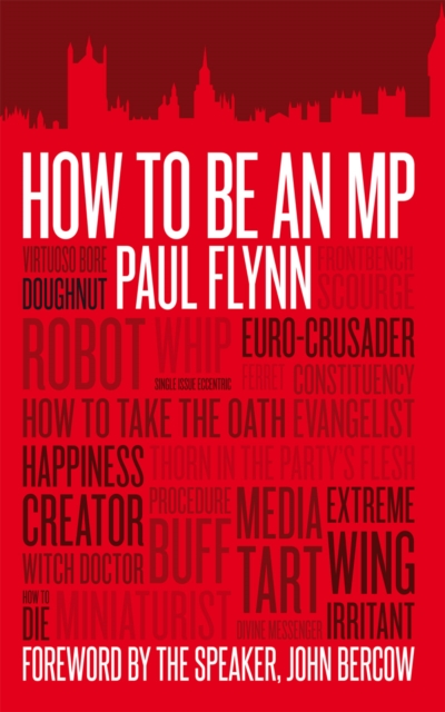 Book Cover for How to be an MP by Flynn, Paul