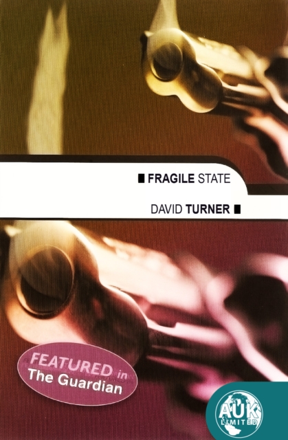 Book Cover for Fragile State by Turner, David