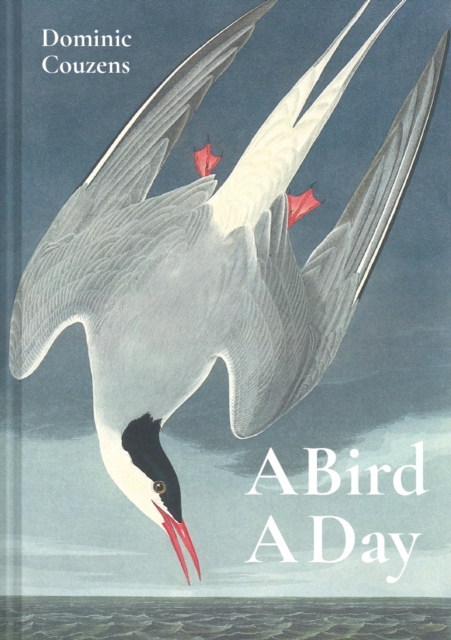 Book Cover for Bird A Day by Dominic Couzens