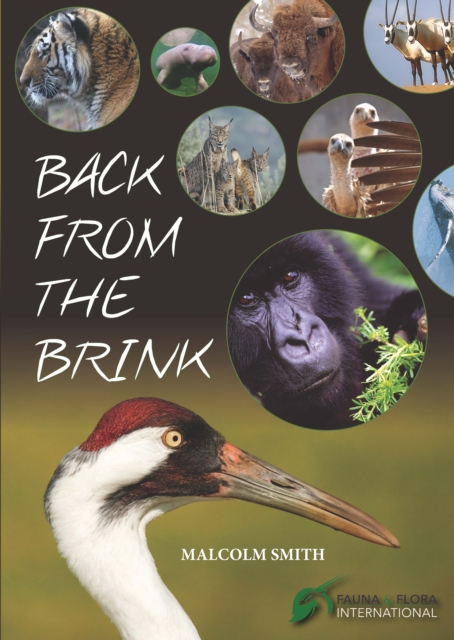 Book Cover for Back from the Brink by Malcolm Smith