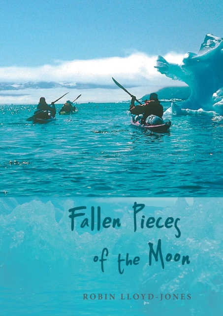 Book Cover for Fallen Pieces of the Moon by Robin Lloyd-Jones