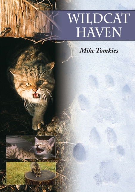 Book Cover for Wildcat Haven by Mike Tomkies