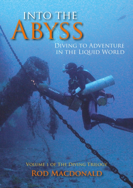 Book Cover for Into the Abyss by Rod MacDonald