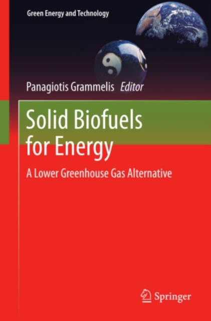 Book Cover for Solid Biofuels for Energy by Grammelis, Panagiotis