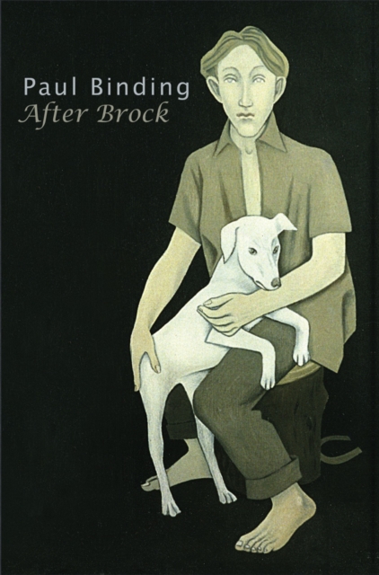 Book Cover for After Brock by Paul Binding