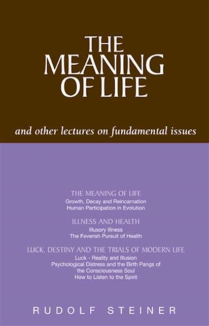 Book Cover for Meaning of Life and Other Lectures on Fundamental Issues by Steiner, Rudolf