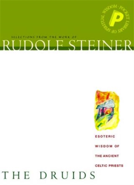 Book Cover for Druids by Rudolf Steiner