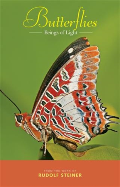 Book Cover for Butterflies by Steiner, Rudolf