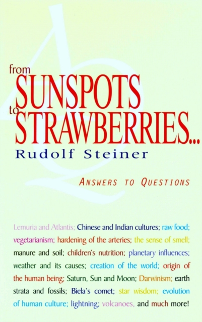 Book Cover for From Sunspots to Strawberries by Steiner, Rudolf