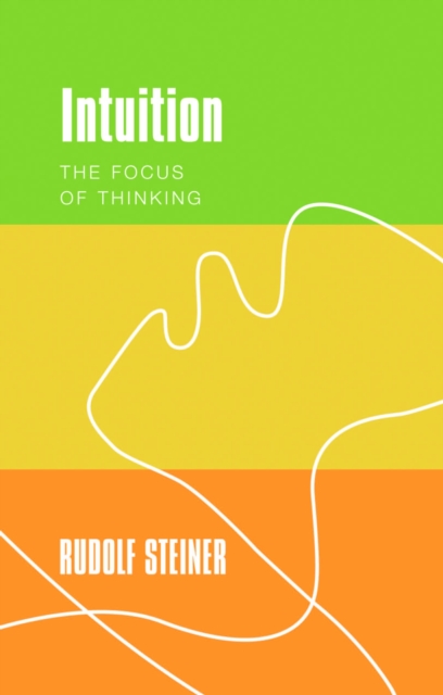 Book Cover for Intuition by Steiner, Rudolf