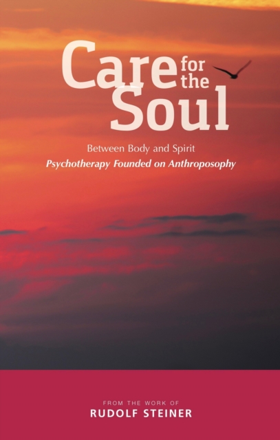 Book Cover for Care for the Soul by Steiner, Rudolf