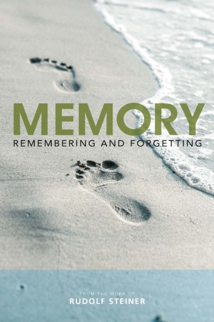 Book Cover for Memory by Steiner, Rudolf