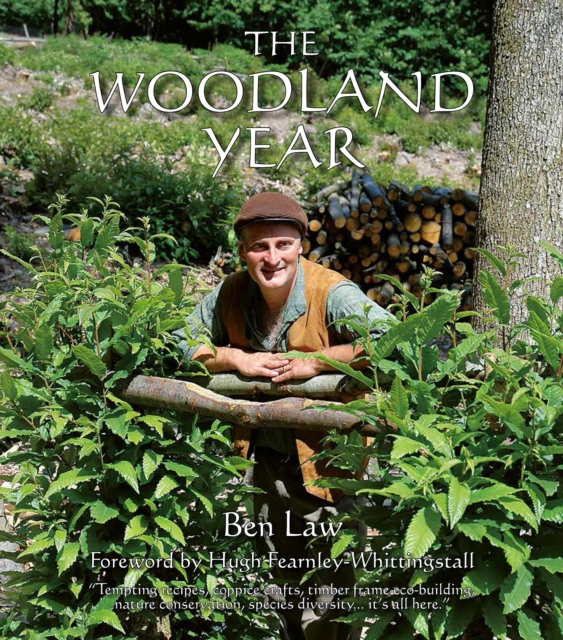 Book Cover for Woodland Year by Law, Ben