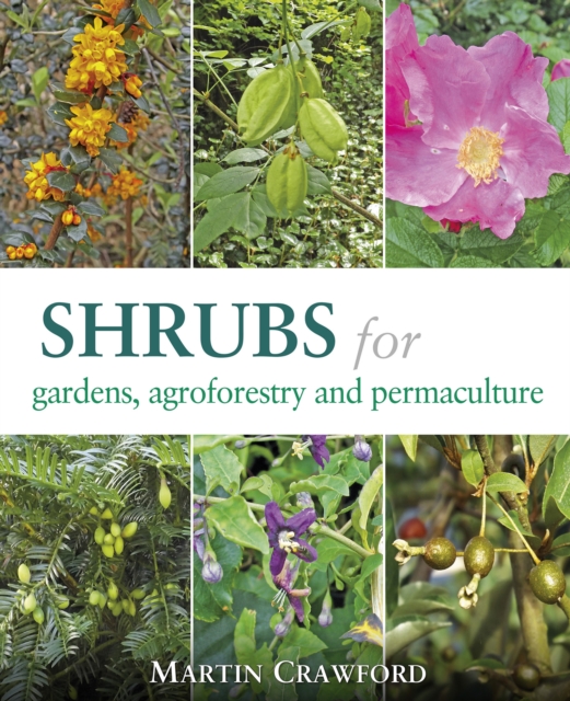 Book Cover for Shrubs for Gardens, Agroforestry and Permaculture by Martin Crawford