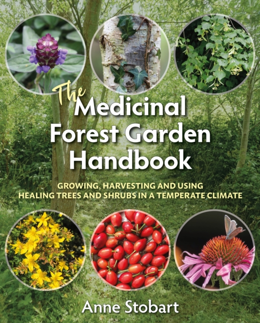 Book Cover for Medicinal Forest Garden Handbook by Stobart, Anne