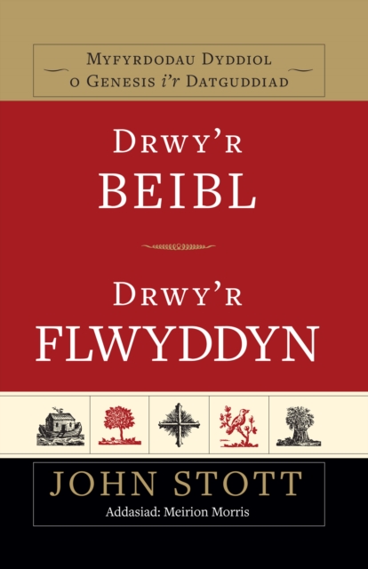 Book Cover for Drwy'r Beibl, Drwy'r Flwyddyn by John Stott