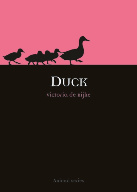 Book Cover for Duck by de Rijke, Victoria